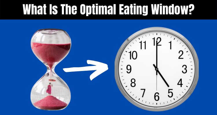 What Is The Optimal Eating Window?