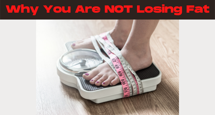 Why You Are Not Losing Fat