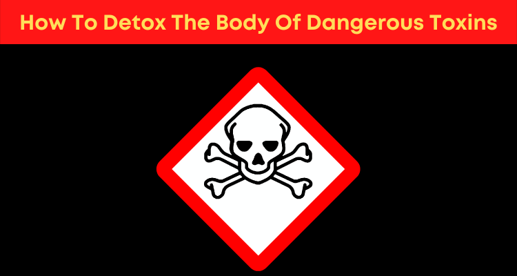 How To Detox The Body Of Dangerous Toxins