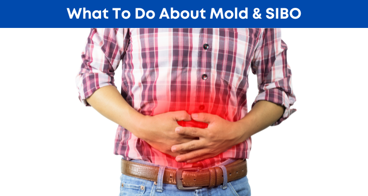 What To Do About Mold & SIBO