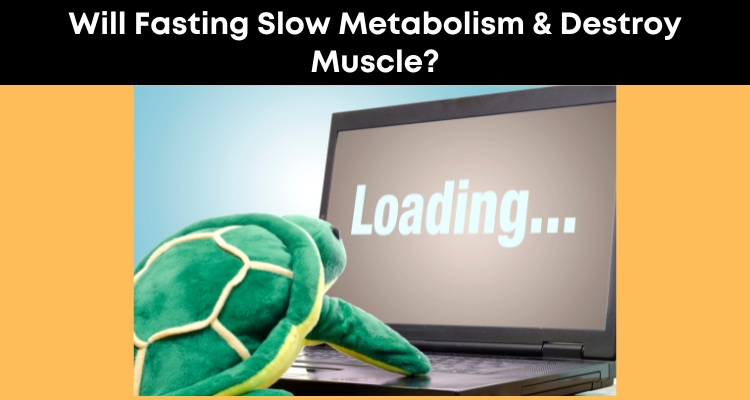 Will Fasting Slow Metabolism & Destroy Muscle?