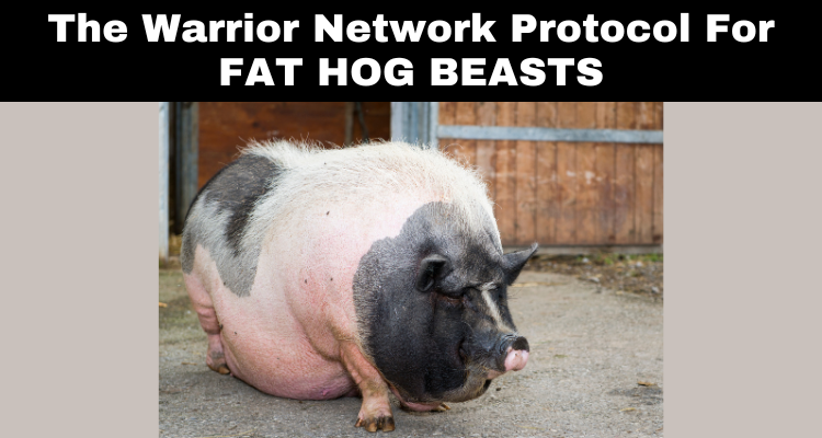 The Warrior Network Protocol For Fat Hog Beasts