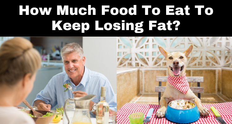 How Much Food To Eat To Keep Losing Fat?