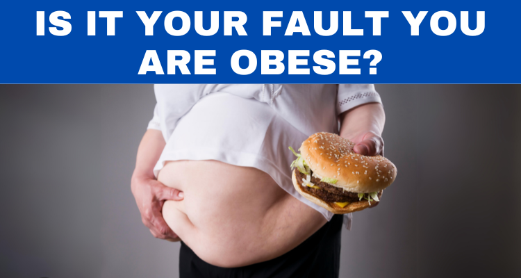 Is It Your Fault You Are Obese?